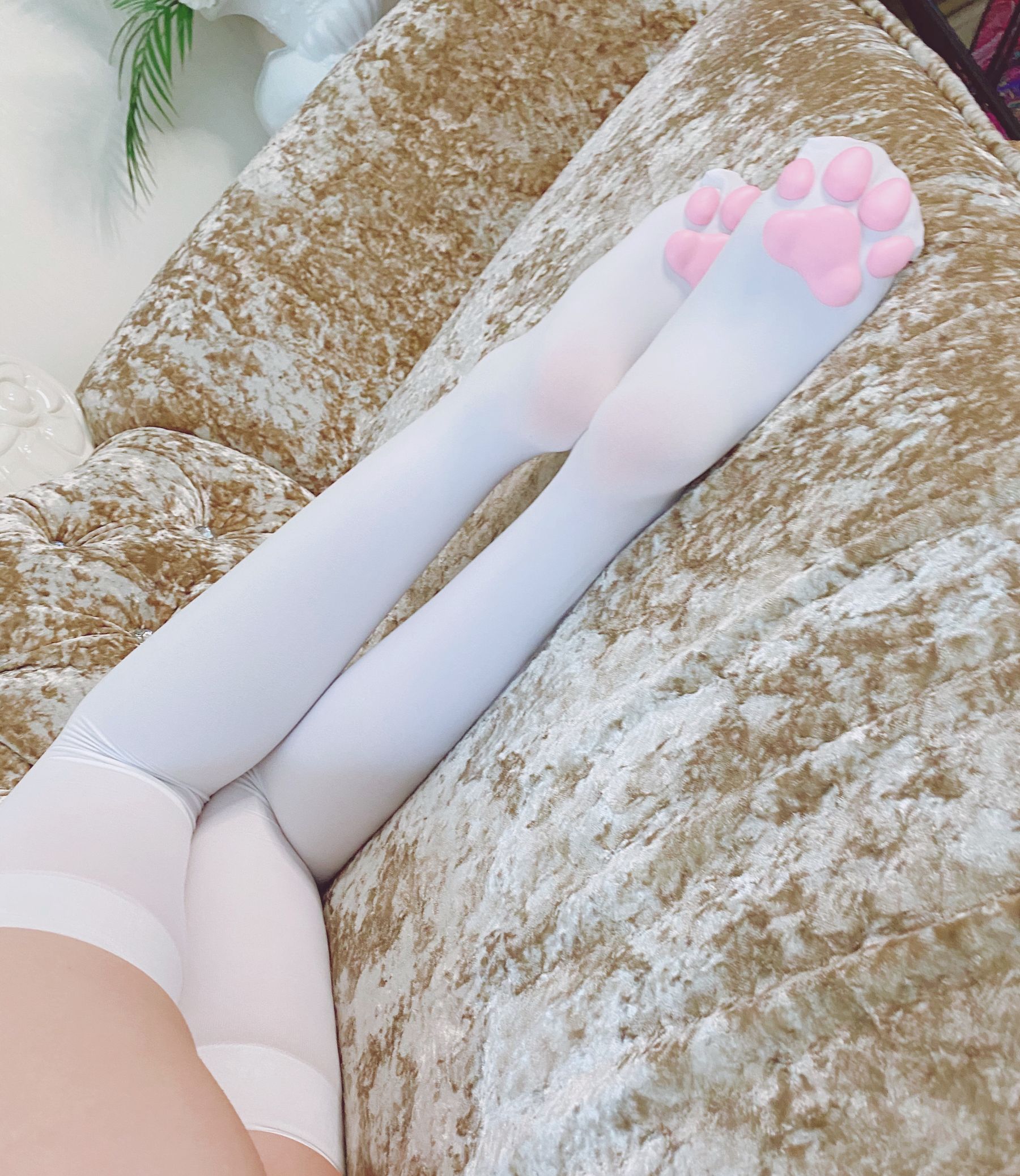 [网红COSER]起司块wii足系列3白丝插图6